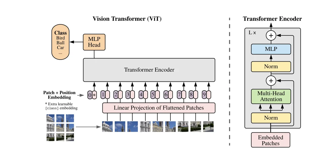 Vision Transformer pictured
