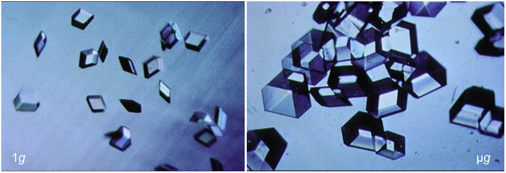 Human insulin crystals grown in 1-g and in microgravity